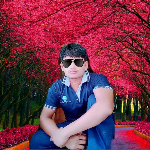 @sachinverma055