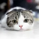 @about9301