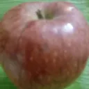 @oviya971