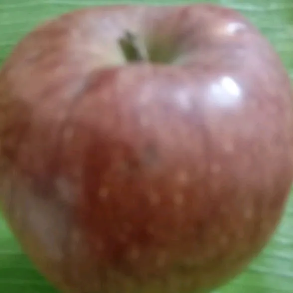 oviya971