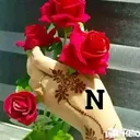 @arohichandel0