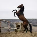 @alexanderchervyako6