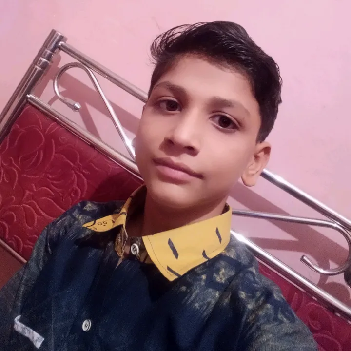 aloknayak.962