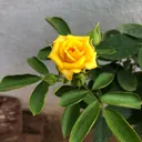 @iamzero234
