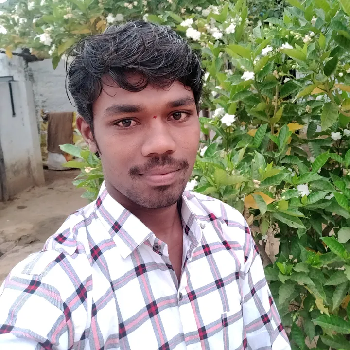 venkyvenky281419541