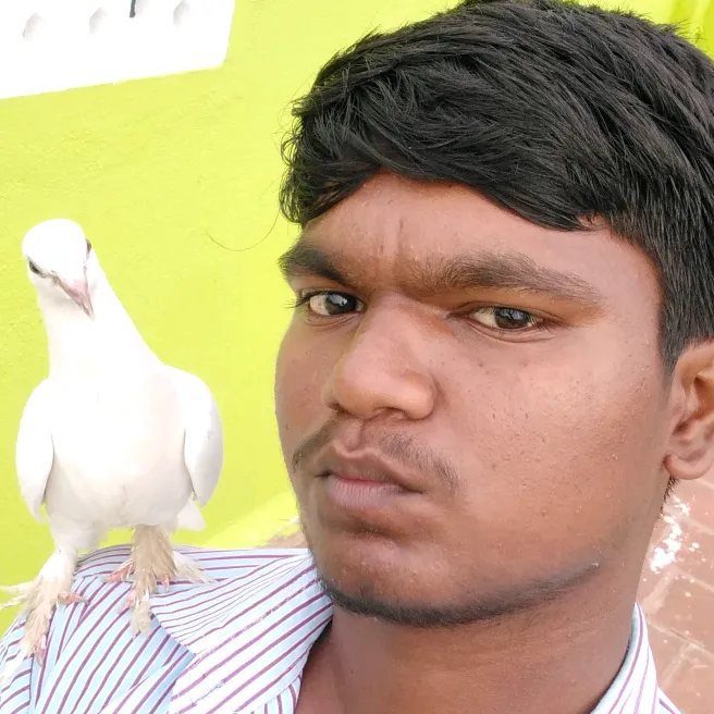 kanagaraj496