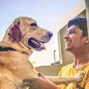 @siddharthragipani