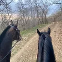 @tarki_horses05