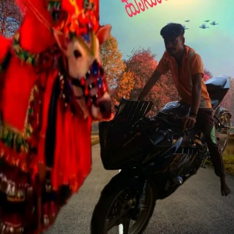 user459258203