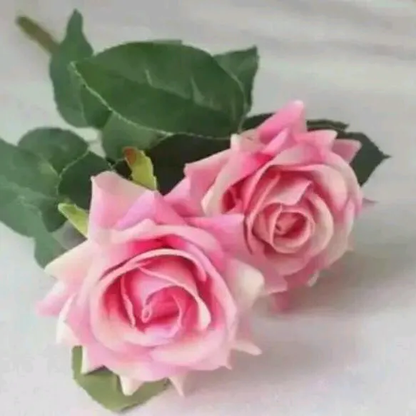 kavithpreeth