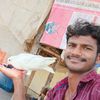 karthikkk63