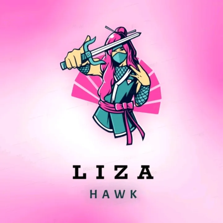 @lizahawkgaming