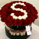 @afsarsyed422238