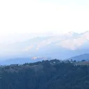 @annu8080