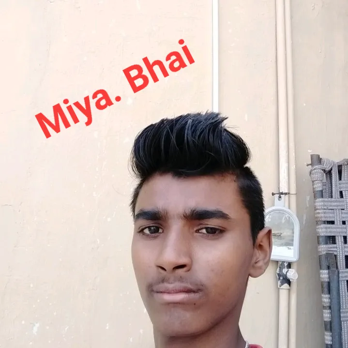 miya.bhai.ro