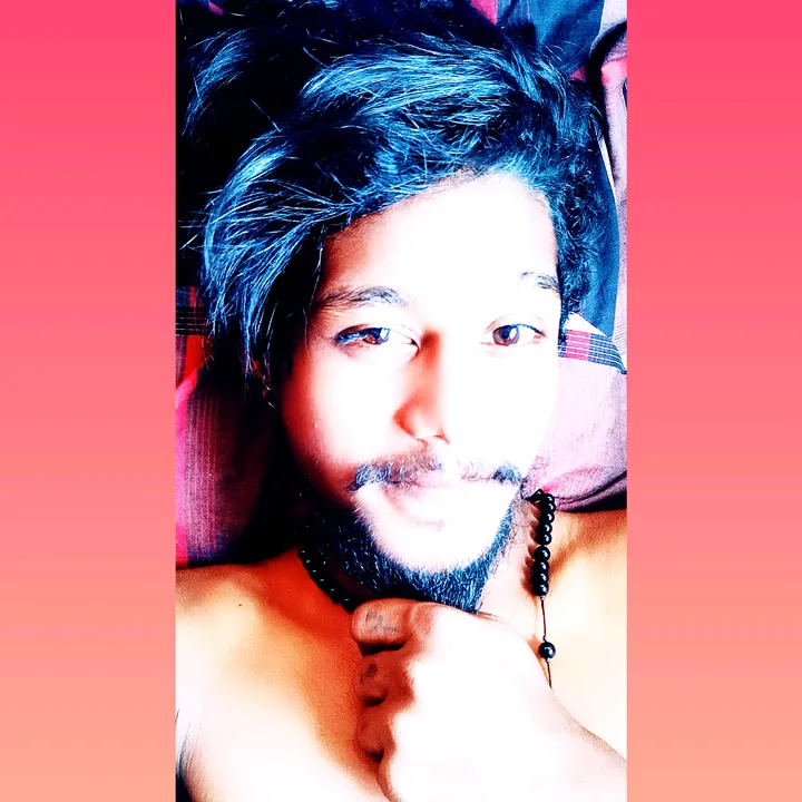 anualex3