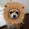 tonomarun