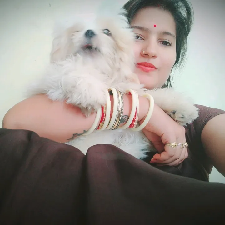 @bhavujogesh