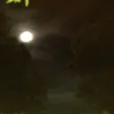 @user8264075