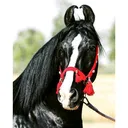 @horse_lover_92