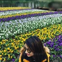@rajubank3