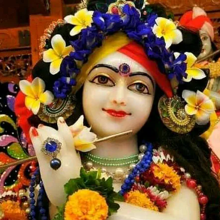 @soniachauhan3345