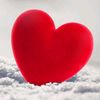 shahana.siddiqui.786