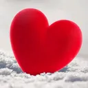 @shahana.siddiqui.786