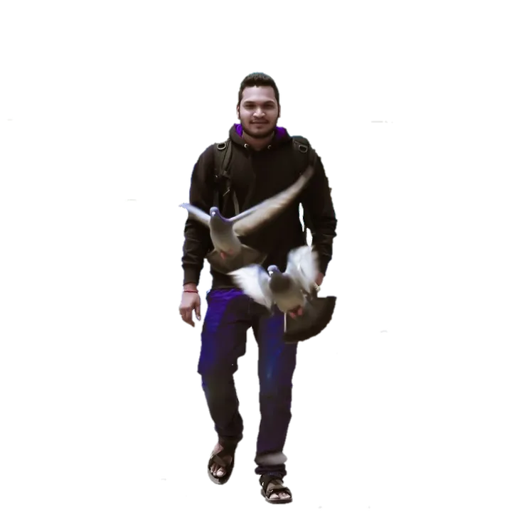 gullyboygopi