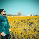 @pahadidaud