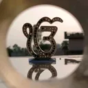 @chahalsukhveer27