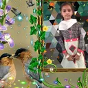 @harikakarri12345