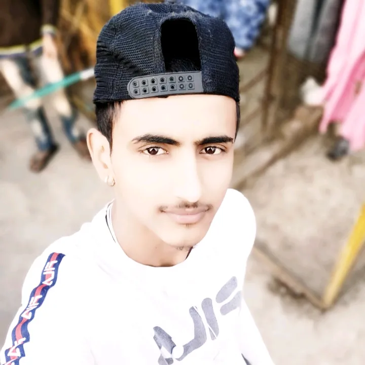 zaidilma