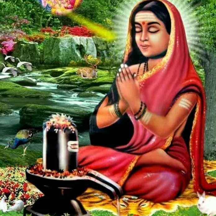 @user217049448