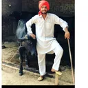 @jbohemia7