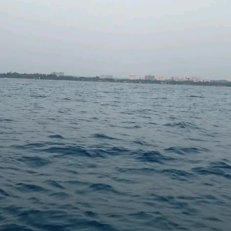 akshaydpereira