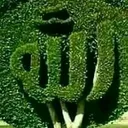 @all_in_0001