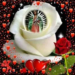 @marytacuri30