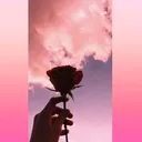 @user6n5ff7dsf2