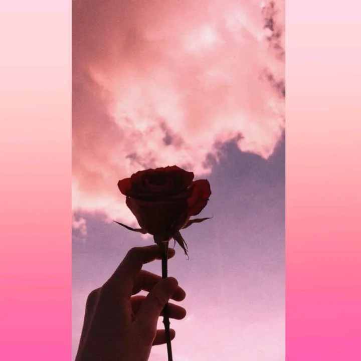 @user6n5ff7dsf2
