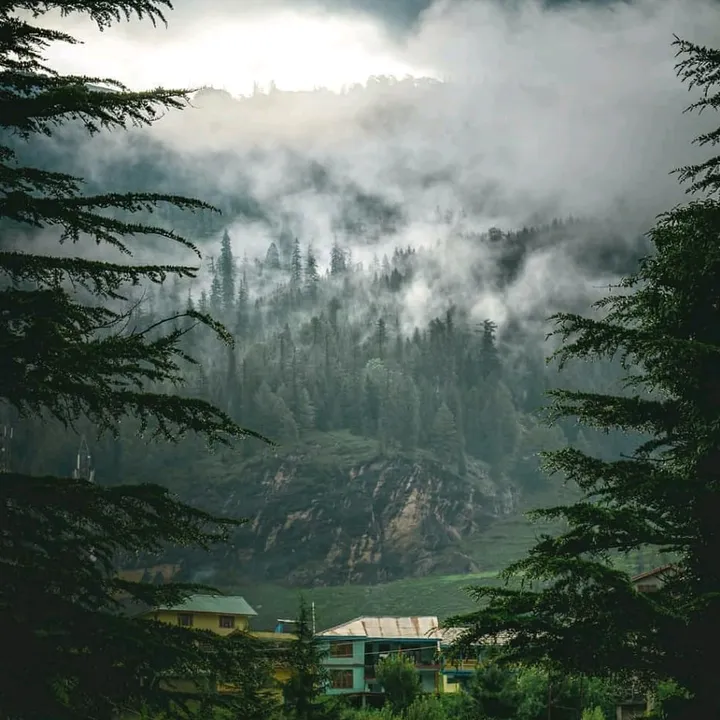 @sachxpress