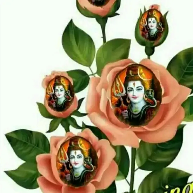 bishnupriyabishnu