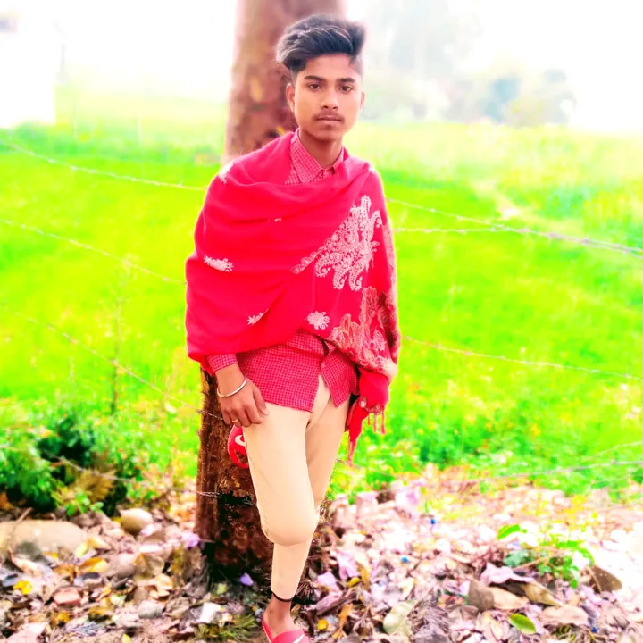 shivamsaini9237
