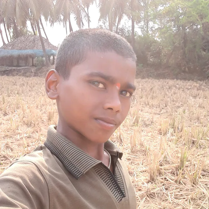 @user9666352338
