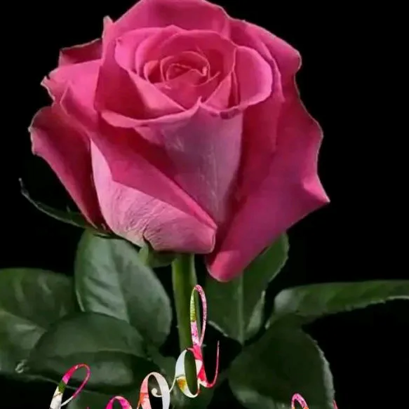 @jayshreemarathi2