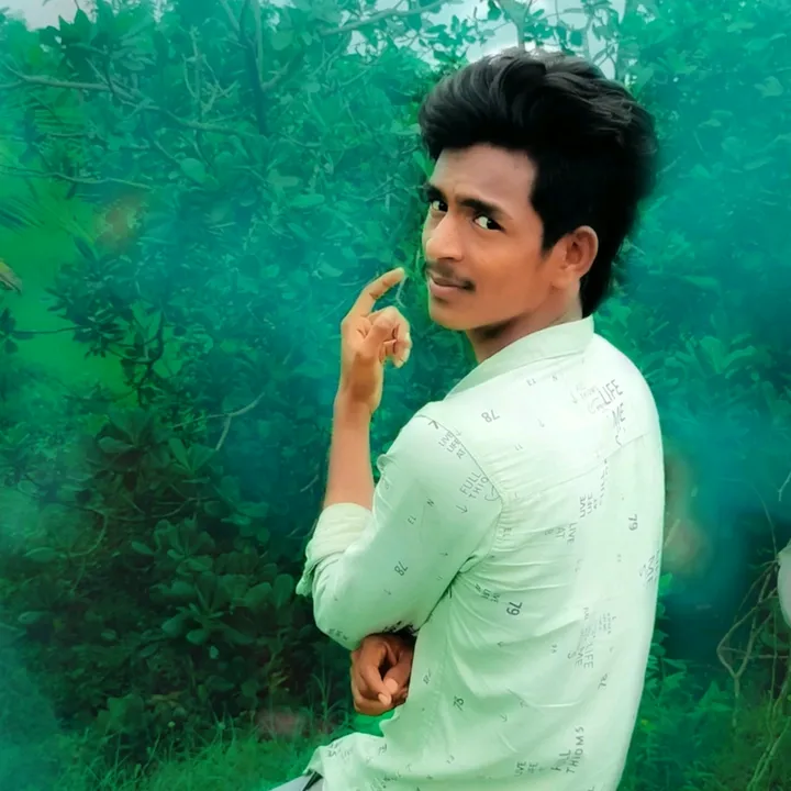 bhavanisankar.bunny