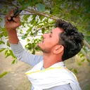 @golu_trikal