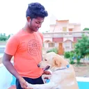 @shankaravp03