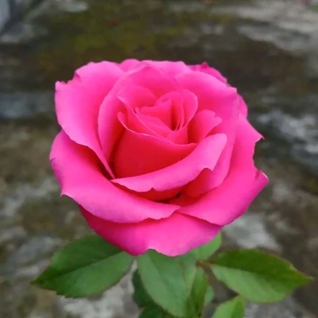 @user4887852091707