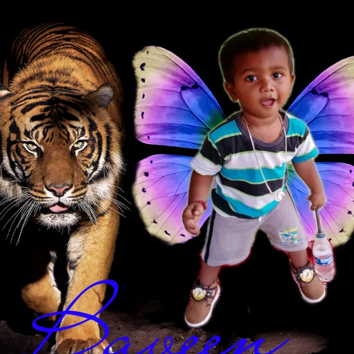 @sudhirbayaa1
